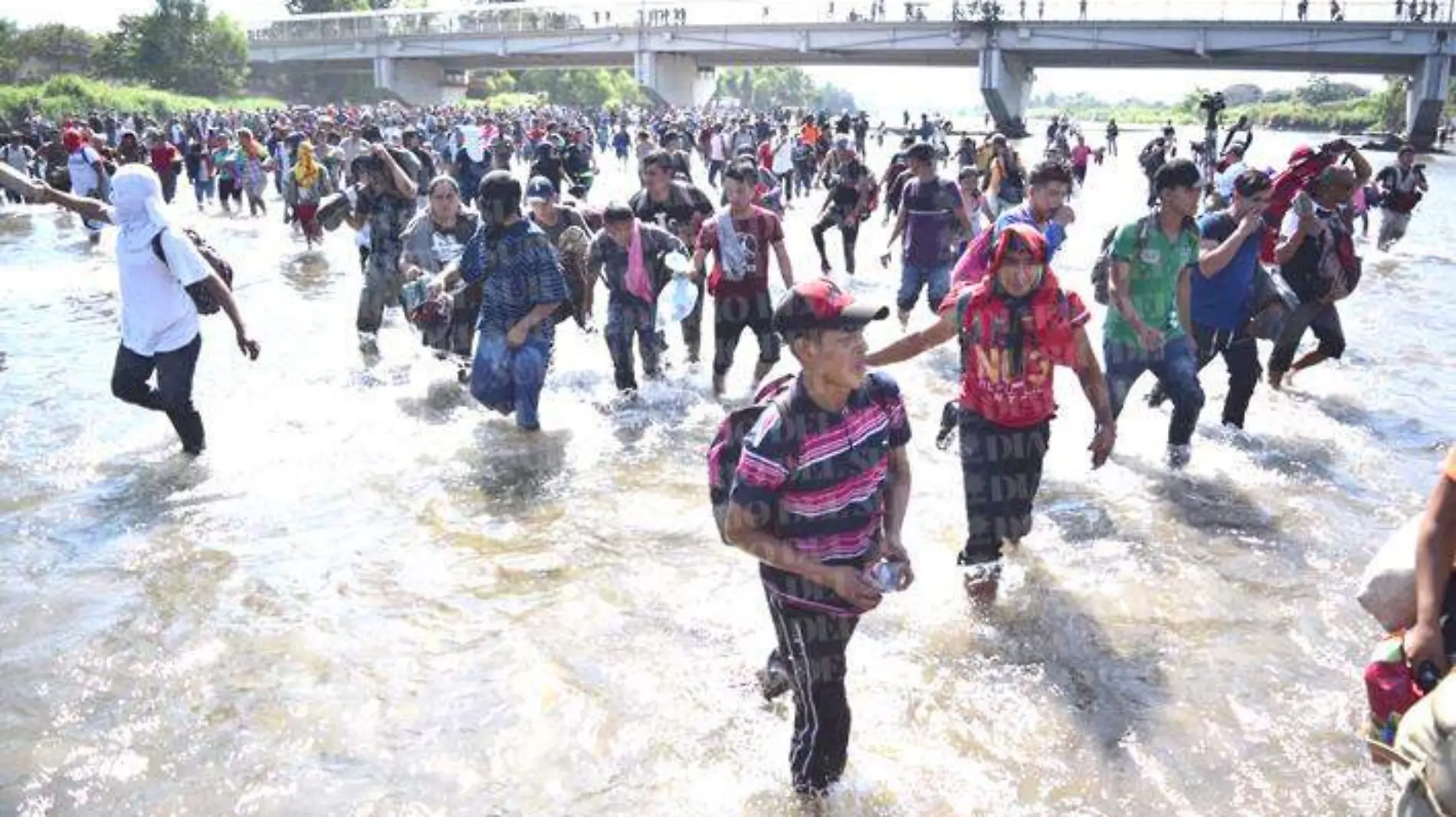 migrante copia